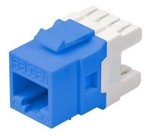Jack Belden - Cat6 - RJ-45 - Azul - AX104193