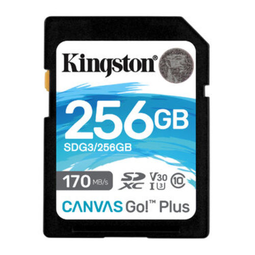 Memoria SDXC Kingston Technology Canvas Go! Plus – 256GB – Clase 10 – UHS-II – SDG3/256GB