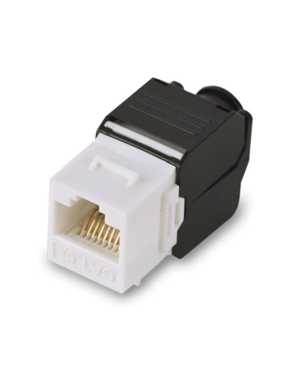 Jack SAXXON M242-C5 - Cat5e - RJ-45 - Blanco - M242-C5