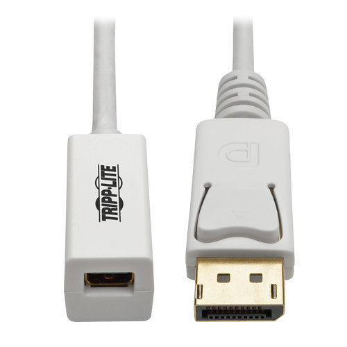 Adaptador Tripp Lite P134-06N-MDP – DisplayPort a Mini DisplayPort – Blanco – P134-06N-MDP