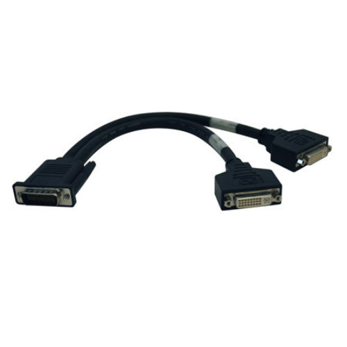 Cable Divisor Tripp Lite – Dms-59 a DVI Doble – 30.5cm – P576-001